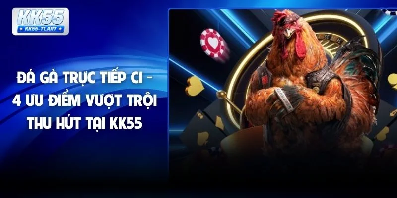 Đá Gà Trực Tiếp C1 - 4 Ưu Điểm Vượt Trội Thu Hút Tại KK55
